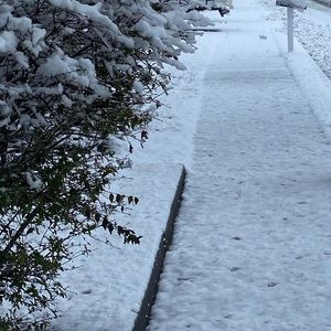 Meet your Posher, Nerli